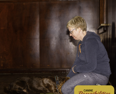 Dog attending Canine Fitness & Conditioning Workshop