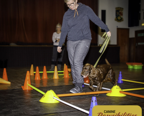 Dog attending Canine Fitness & Conditioning Workshop