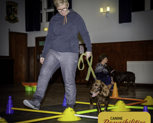 Dog attending Canine Fitness & Conditioning Workshop