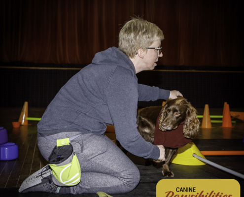 Dog attending Canine Fitness & Conditioning Workshop