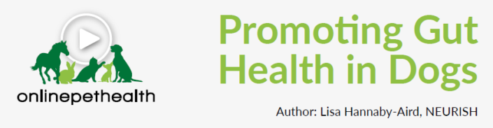 Promoting-gut-health-in-dogs