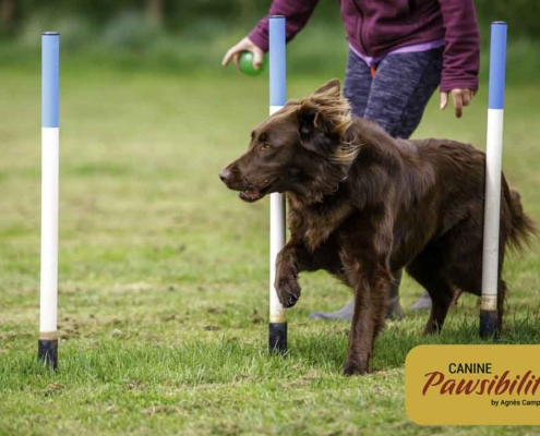 Agility-Weaves-6