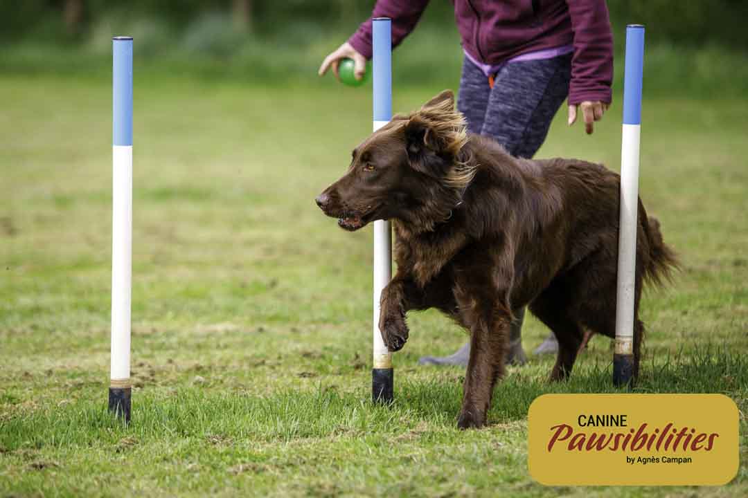 Agility-Weaves-6